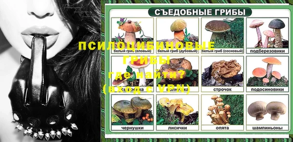 ПСИЛОЦИБИНОВЫЕ ГРИБЫ Аркадак