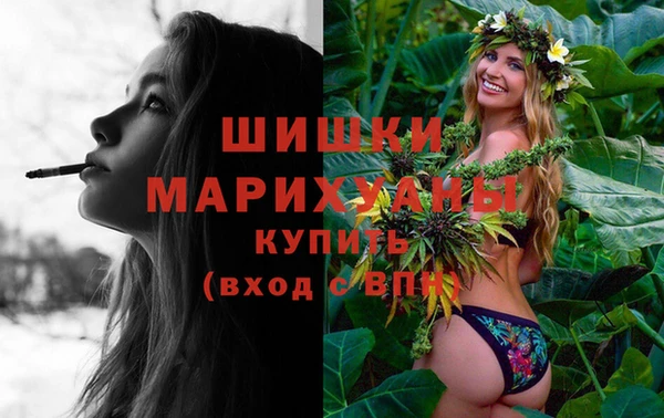 дживик Арсеньев